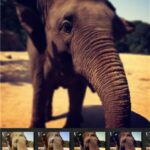 6tag – Windows Phone 8 – 3