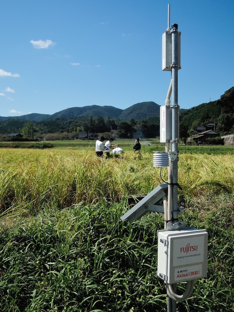 japans-dwindling-sake-industry-has-a-surprising-tech-ally-body-image-1414689763