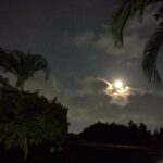 WP_25590424_22_06_57_Pro