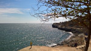 WP_25590505_14_50_13_Pro