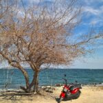 WP_25590505_15_37_22_Pro