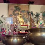 WP_25590507_18_33_27_Pro_LI